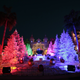 Image for article titled Photos: See the world light up for the holidays
